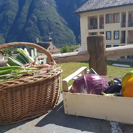 Hotel Belvedere Crodo