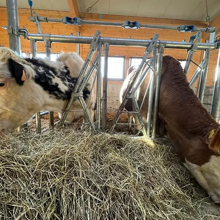 Belvedere Wellness&spa 3*