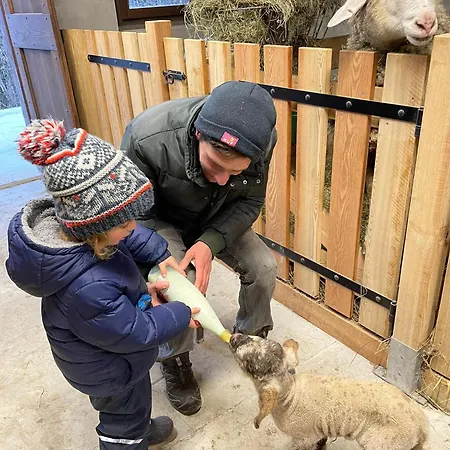 Belvedere Wellness&spa Hotel 3*