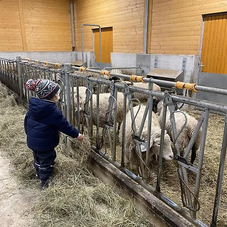 Belvedere Wellness&spa Crodo