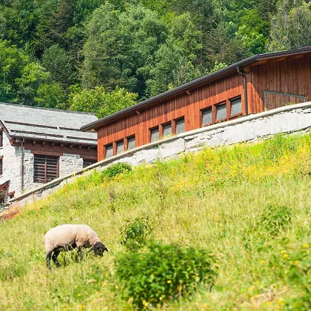 Belvedere Wellness&spa Crodo