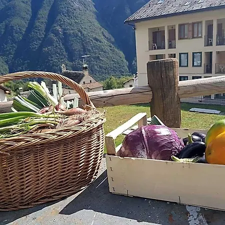 Hotel Belvedere Wellness&spa 3*