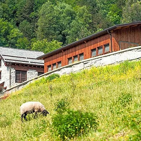 Belvedere Wellness&spa Hotel Crodo