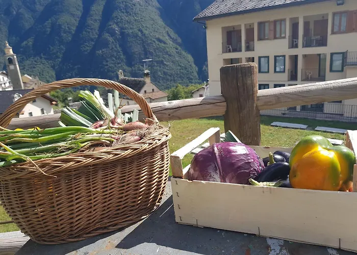 Hotel Belvedere Wellness&spa Crodo