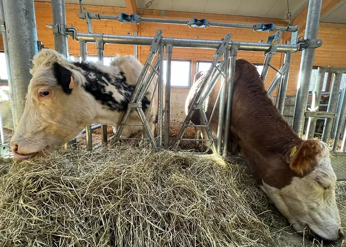 Belvedere Wellness&spa 3*