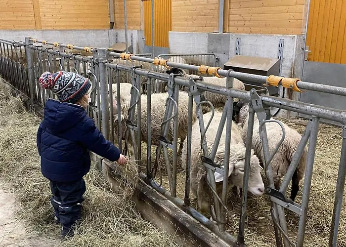 Belvedere Wellness&spa Crodo