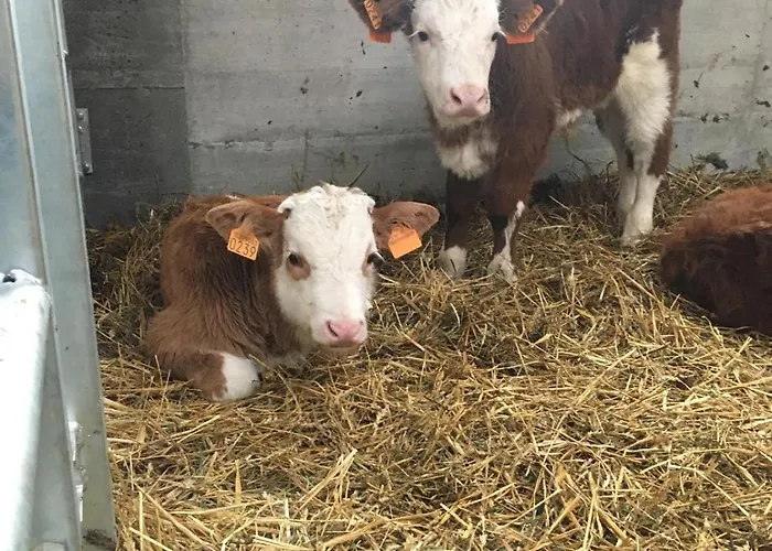 Hotel Belvedere Wellness&spa 3*